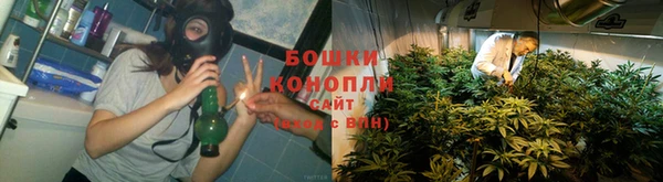 PSILOCYBIN Балабаново