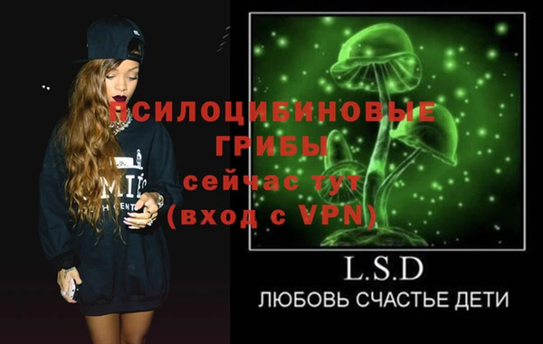 прущий лед Осинники