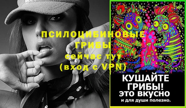 мдпв Нягань