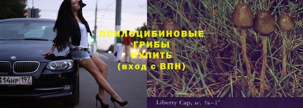 прущий лед Осинники