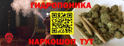 эйфоретик Гатчина