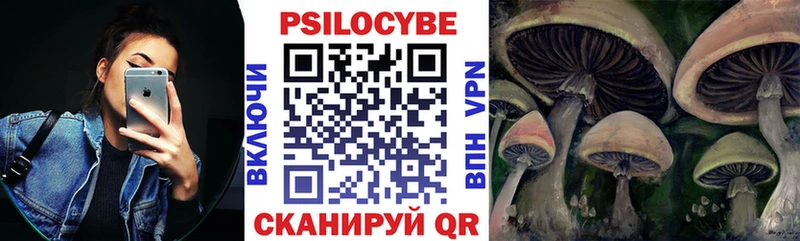 Галлюциногенные грибы Psilocybe  даркнет сайт  Кунгур 