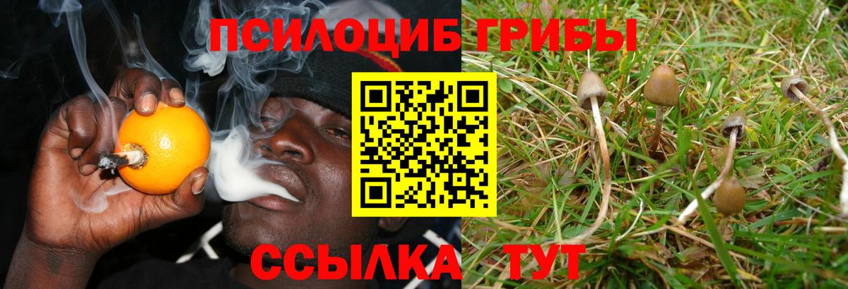 Галлюциногенные грибы мицелий  Галлюциногенные грибы прущие грибы  Вход с VPN  Кунгур 